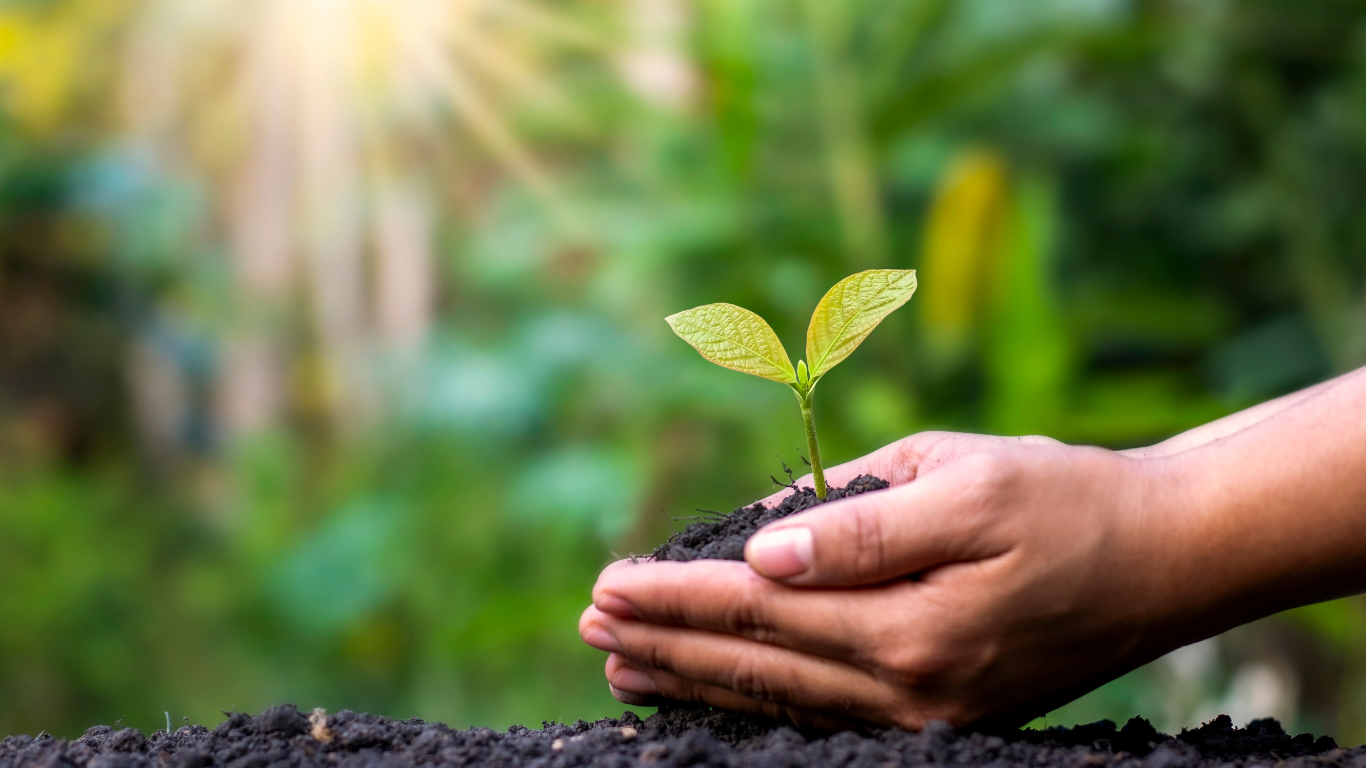 PDX Placenta — Full Spectrum Doula Services